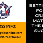 Betting Tips for IPL Cricket Matches: The Key to Success