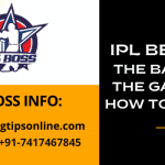IPL Betting: The Basics of the Game and How to Play It